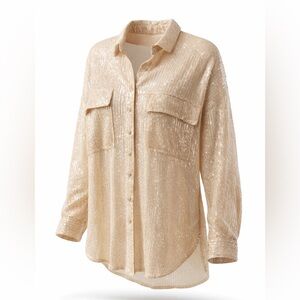 Pilcro Beige Sequin Top